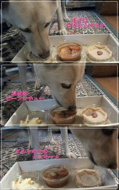 2011043028.jpg