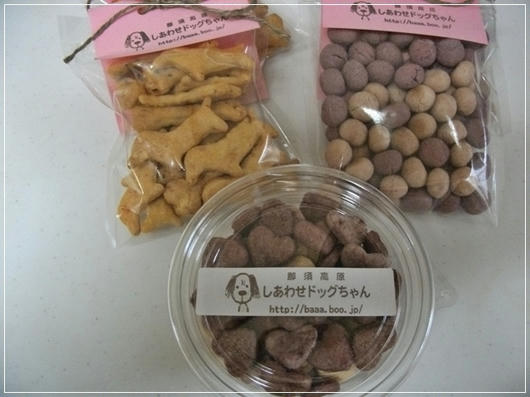 20110505.JPG