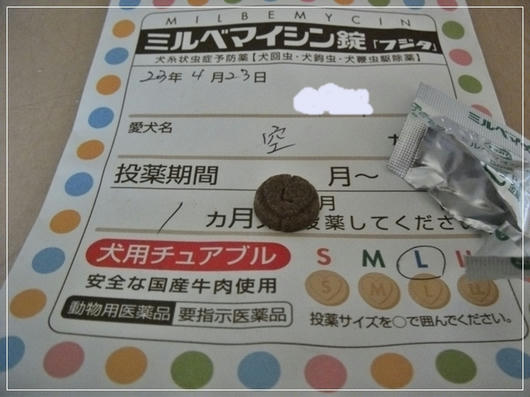 201105032.JPG