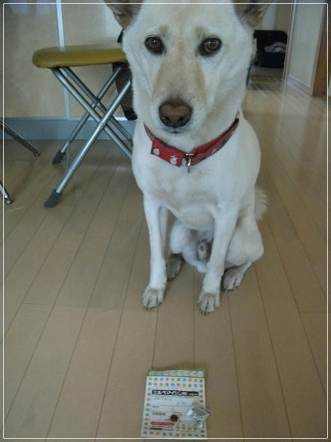 2011050306.JPG