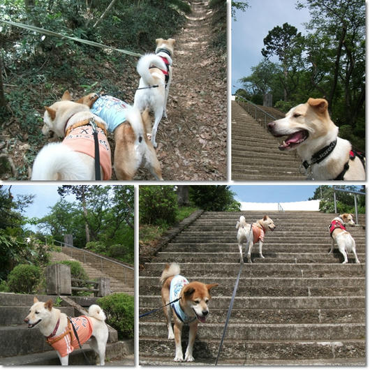 201105091.jpg