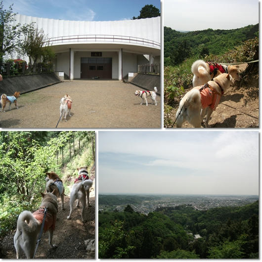 201105092.jpg