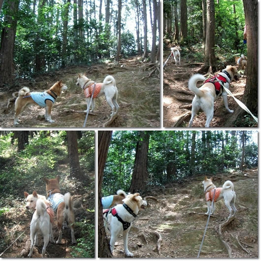 201105093.jpg