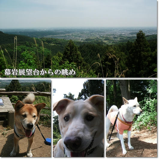 201105094.jpg