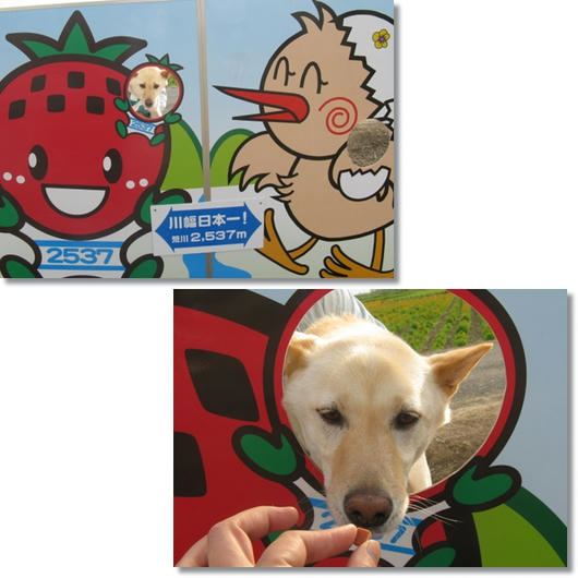 201105157.jpg
