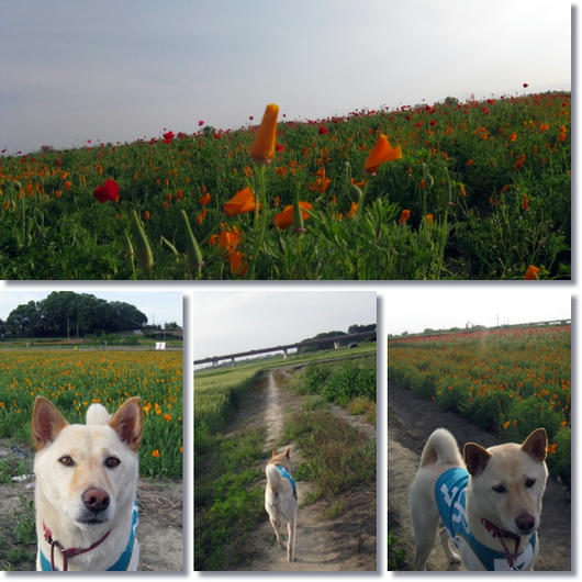 201105159.jpg