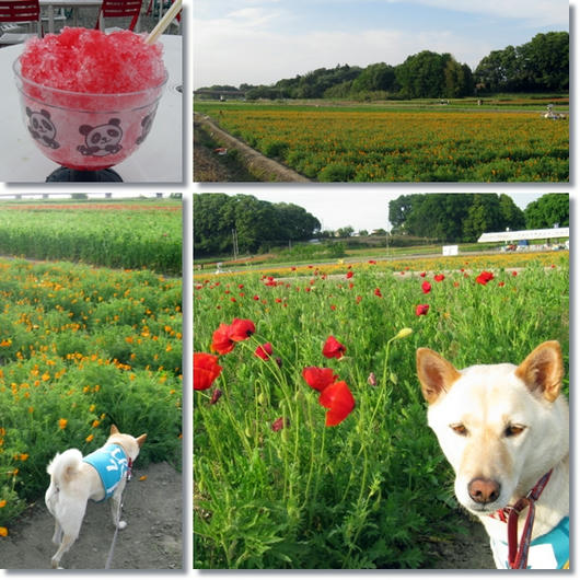 2011051511.jpg
