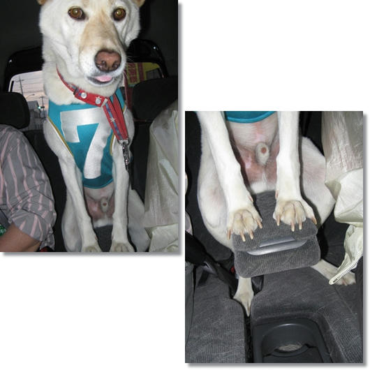 2011051512.jpg