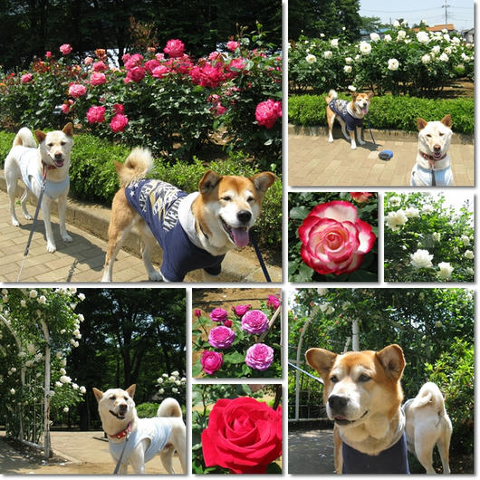 201105192.jpg