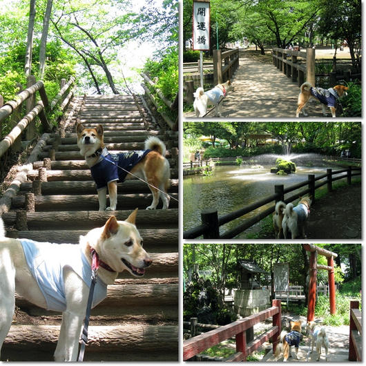 201105195.jpg