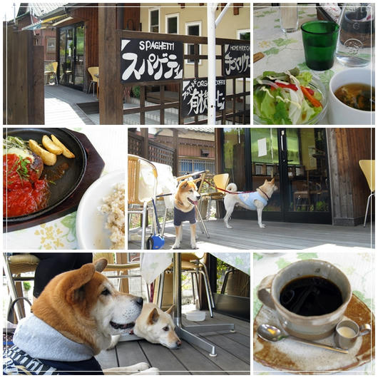 201105197.jpg