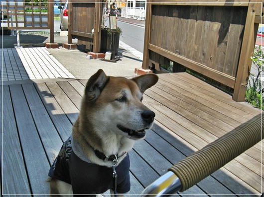 201105199.JPG