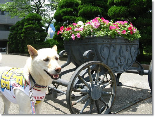 201105212.JPG