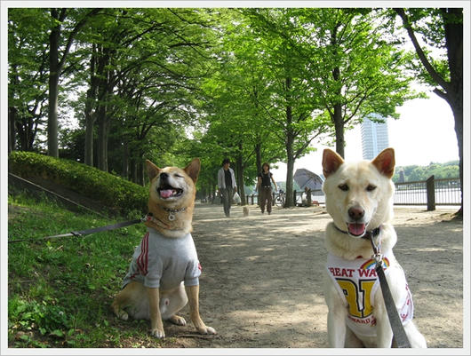 201105217.JPG