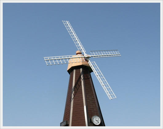 2011052116.JPG