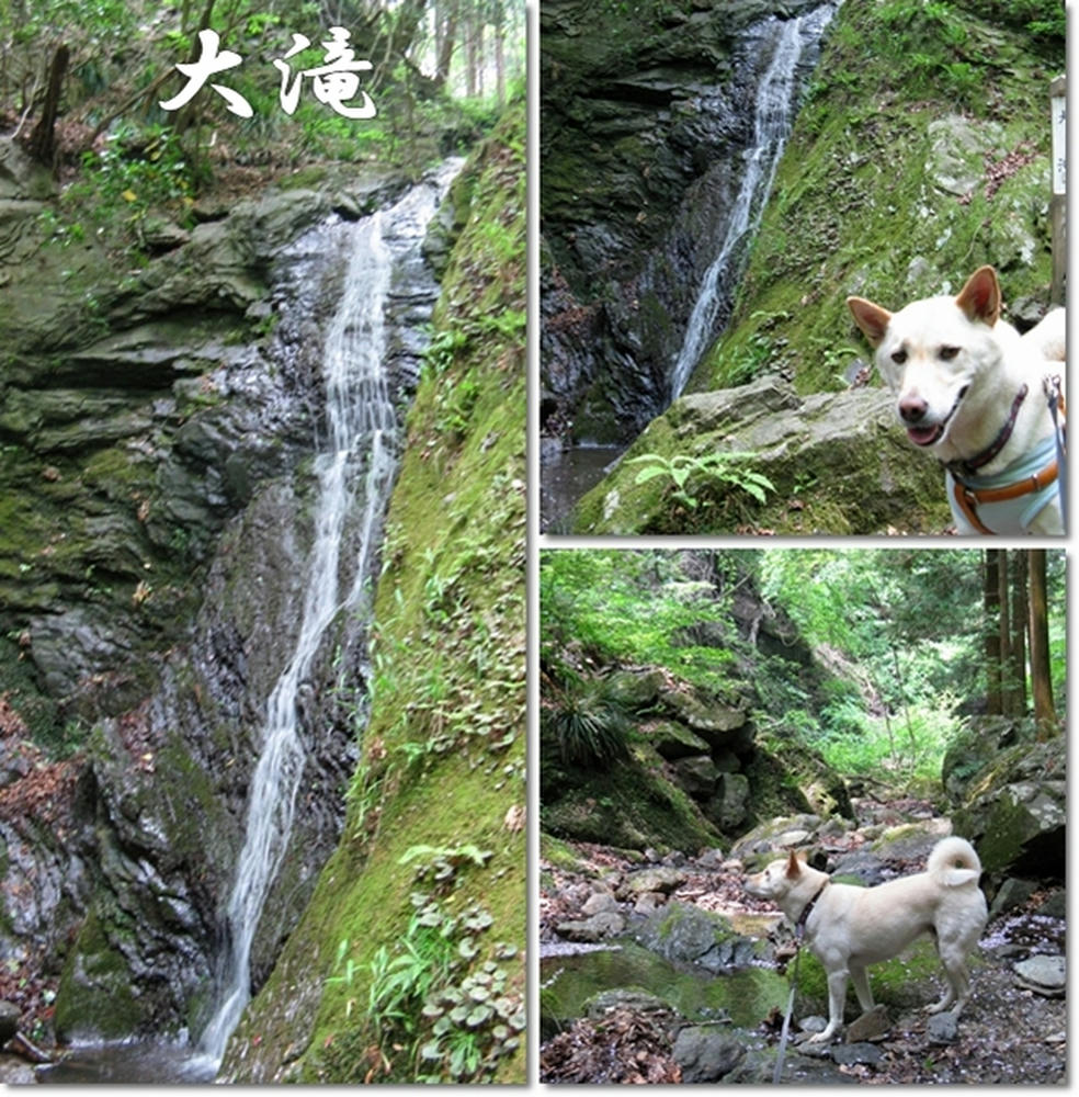 201105229.jpg
