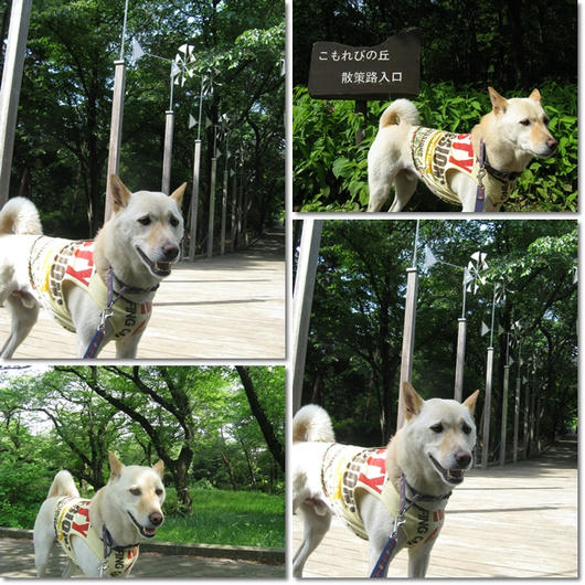 201105254.jpg