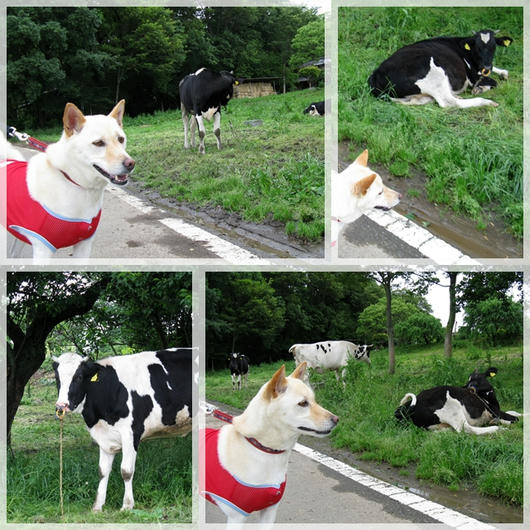 2011053020.jpg