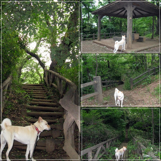 201105316.jpg