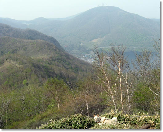 201106057.JPG