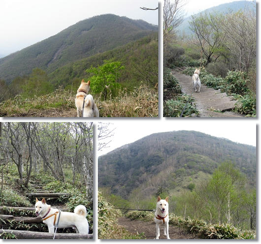 201106058.jpg