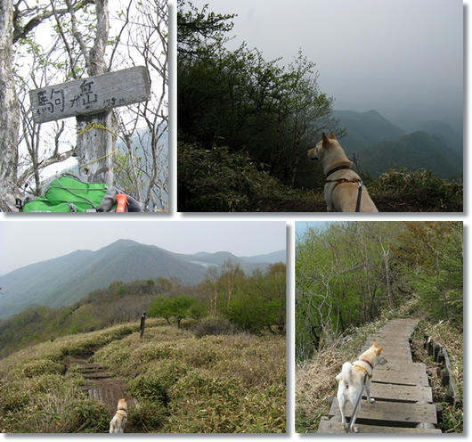 201106059.jpg