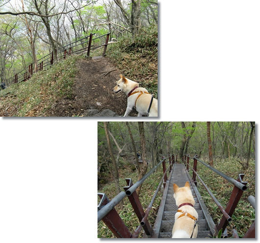 2011060510.jpg
