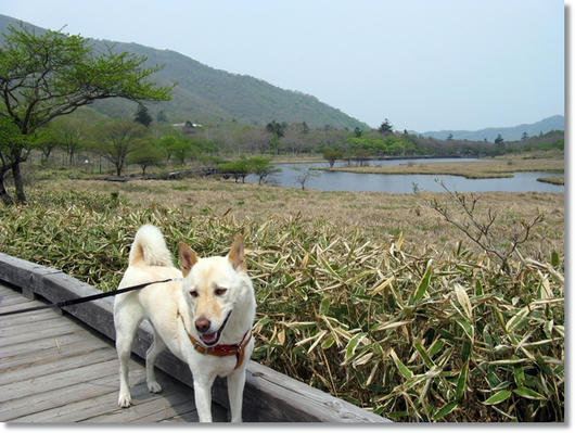 2011060512.JPG