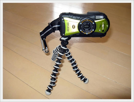 201106064.JPG