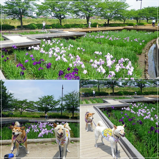 201106092.jpg