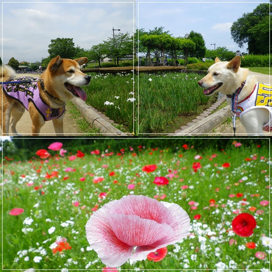 201106093.jpg