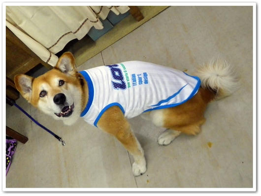 2011060920.JPG