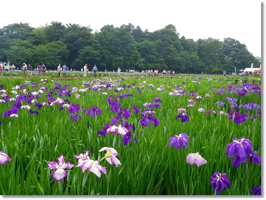 201106112.JPG