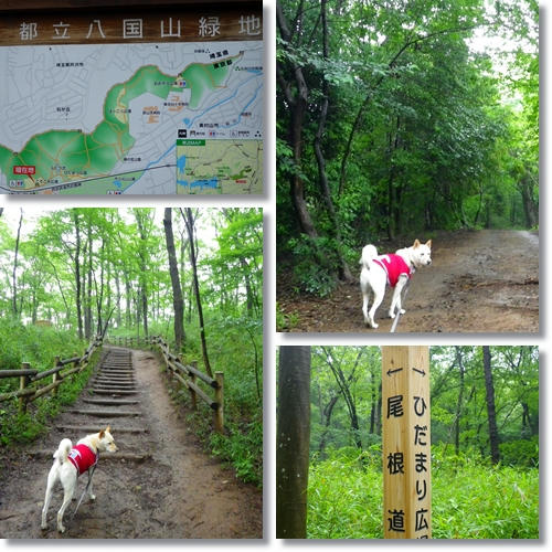 201106115.jpg