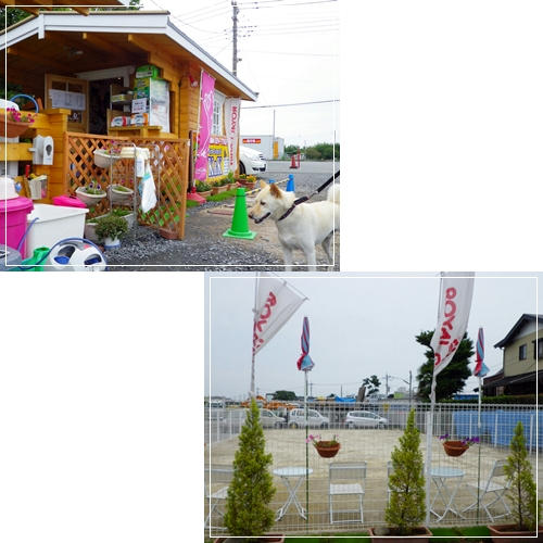 201106128.jpg