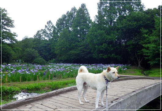201106141.JPG