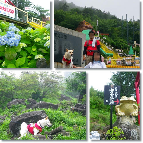 201106194.jpg