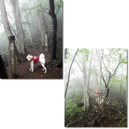 201106268.jpg