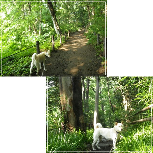 201106303.jpg