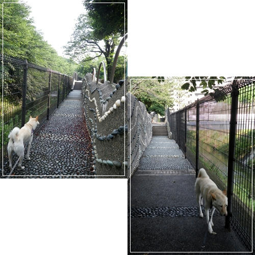 201106304.jpg