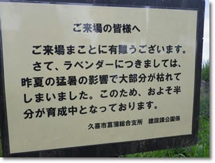 201107035.JPG