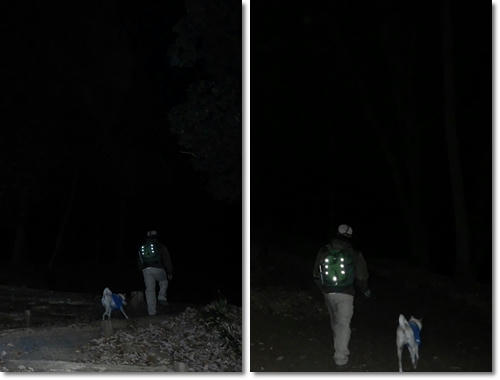 1201011.jpg