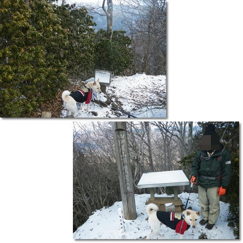 1202188.jpg