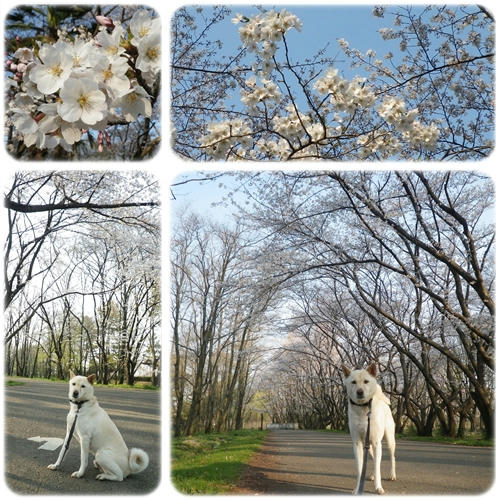 1204094.jpg