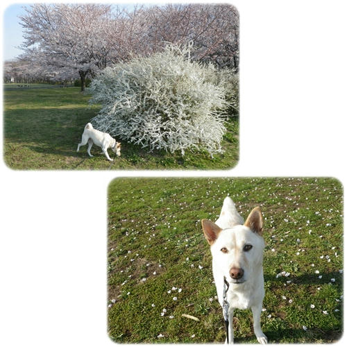 1204096.jpg
