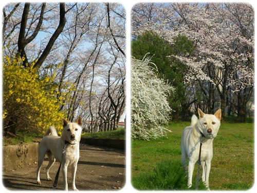 1204098.jpg