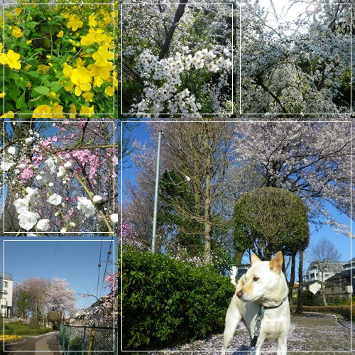 1204123.jpg
