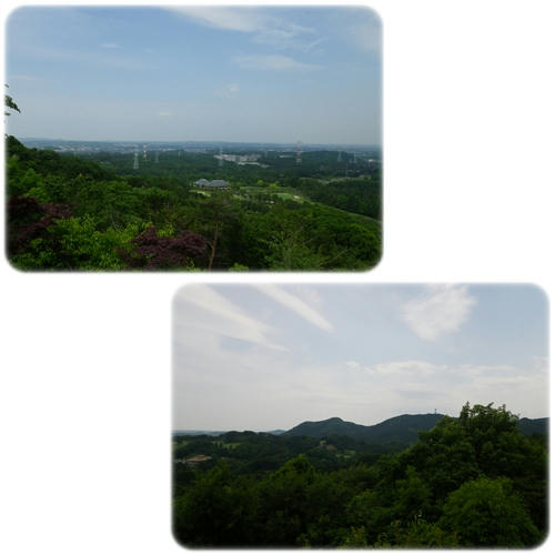 12052612.jpg