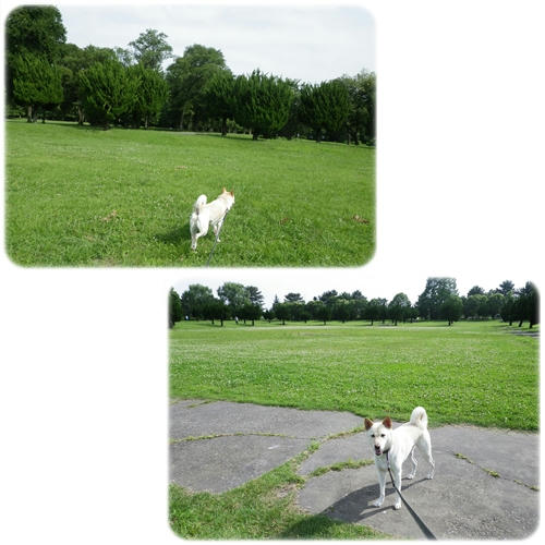 1206276.jpg