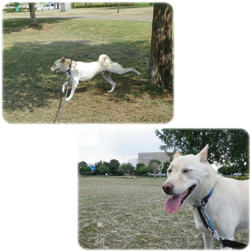 1208304.jpg